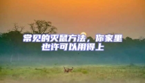 常見的滅鼠方法,你家里也許可以用得上