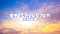 家里怎么滅老鼠及滅鼠的注意事項