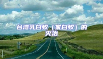 臺(tái)灣乳白蟻(家白蟻)的滅治
