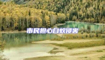 市民擔(dān)心白蟻侵害