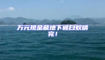 萬元現金藏地下被白蟻啃完!