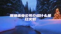 深圳殺蟲公司介紹什么是紅火蟻