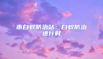 市白蟻防治站:白蟻防治進行時