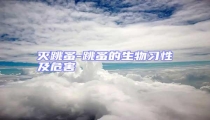 滅跳蚤-跳蚤的生物習性及危害
