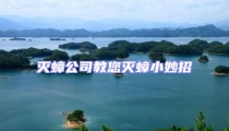 滅蟑公司教您滅蟑小妙招