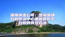 深圳殺蟲公司:羅湖深圳白蟻防治中心最新研究滅白蟻的有效方法