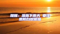 提醒:濕熱下雨天 要注意防白蟻繁殖