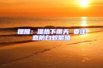 提醒：濕熱下雨天 要注意防白蟻繁殖