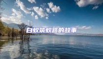 白蟻筑蟻路的故事