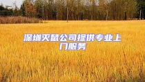 深圳滅鼠公司提供專業上門服務