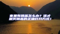 家里有跳蚤怎么辦?這才是滅跳蚤的正確打開方式!
