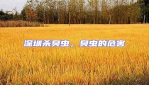 深圳殺臭蟲,臭蟲的危害