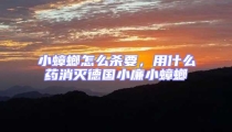小蟑螂怎么殺要,用什么藥消滅德國小廉小蟑螂