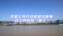滅鼠公司介紹老鼠狂噬電線空調頻頻“罷工”