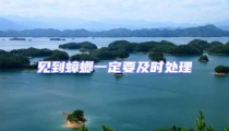見到蟑螂一定要及時處理