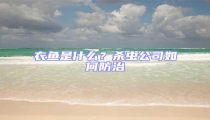 衣魚是什么?殺蟲公司如何防治