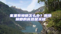 家里有蟑螂怎么辦?斷絕蟑螂的食路是關鍵