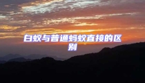 白蟻與普通螞蟻直接的區別