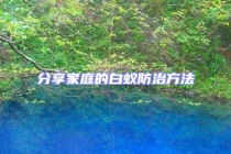 分享家庭的白蟻防治方法
