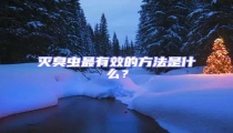 滅臭蟲最有效的方法是什么?