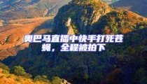 奧巴馬直播中快手打死蒼蠅,全程被拍下