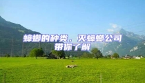 蟑螂的種類,滅蟑螂公司帶你了解