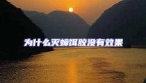 為什么滅蟑餌膠沒有效果