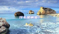 什么是螨蟲(chóng)？