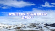 家發現白蟻,怎么辦如何徹底清除?