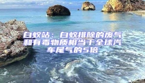 白蟻站:白蟻排除的廢氣和有毒物質相當于全球汽車尾氣的5倍