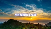 小白蟻胃口大呢