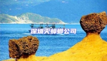 深圳滅蟑螂公司