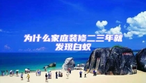 為什么家庭裝修二三年就發(fā)現(xiàn)白蟻
