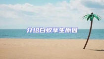 介紹白蟻孳生原因