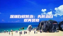 深圳白蟻防治:先防治白蟻再裝修