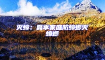 滅蟑:夏季家庭防蟑螂滅蟑螂