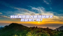螞蟻從帝國(guó)大廈頂部摔下后會(huì)死亡嗎?