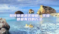 如何快速消滅蟑螂,滅蟑螂最有效的方法