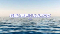 白蟻是世界性五大害蟲之一