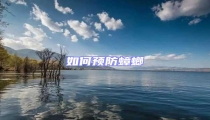 如何預防蟑螂