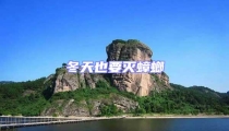 冬天也要滅蟑螂