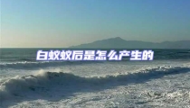 白蟻蟻后是怎么產生的