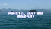 蟑螂怕什么,怕光?怕味道還是氣味?