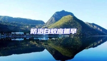 防治白蟻應抓早