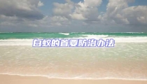 白蟻的首要防治辦法