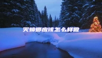 滅蟑螂應(yīng)該怎么樣做