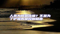 人類為何馴化貓?不是為了鏟屎而是控制鼠害
