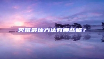 滅鼠最佳方法有哪些呢?