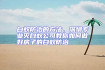 白蟻防治的方法，深圳專業滅白蟻公司教你如何做好房子的白蟻防治