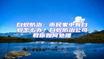 白蟻防治:市民家中有白蟻怎么辦?白蟻防治公司教你如何處理
